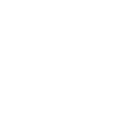 Bowdon, GA logo in white